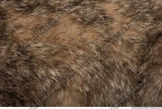 Photo Textures of Animal Skin